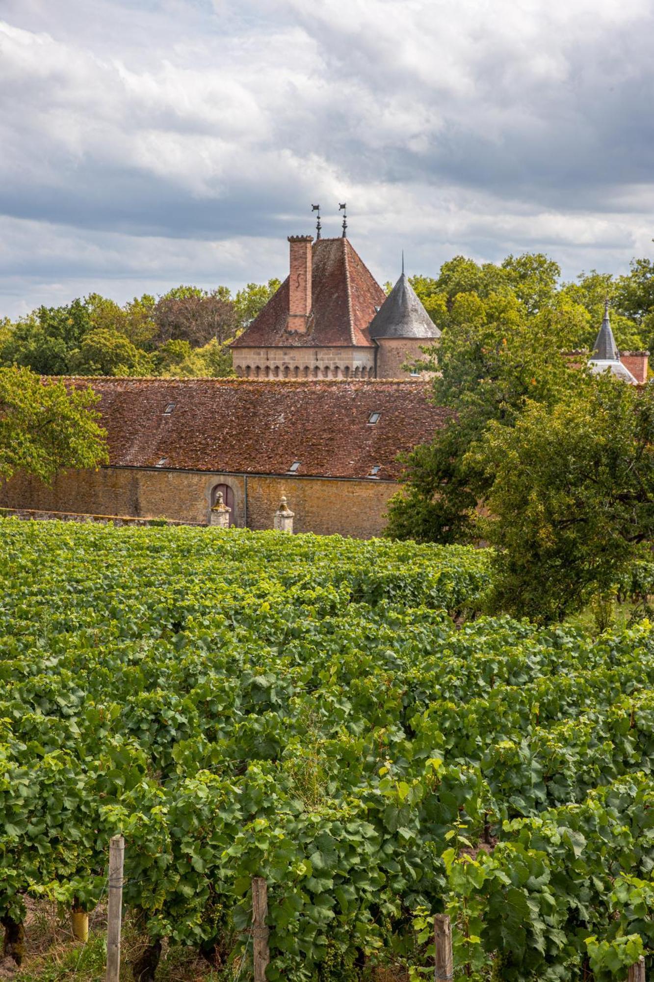 Chateau De La Grange Saint-Emiland Exterior photo